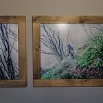 Apartment Riders Olimpijska