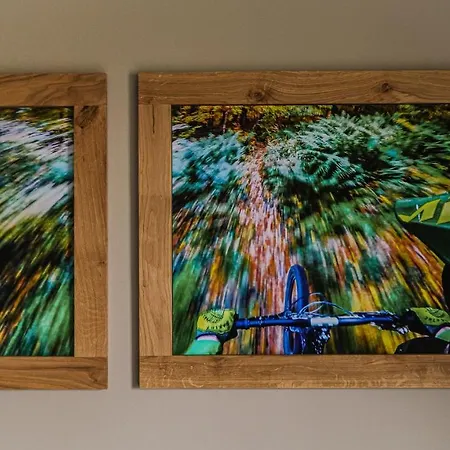 Daire Riders Olimpijska *