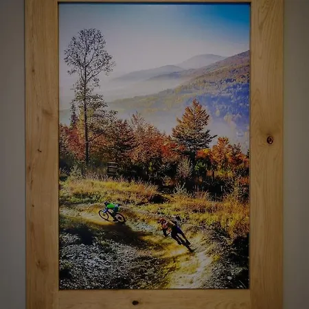 Riders Olimpijska *
