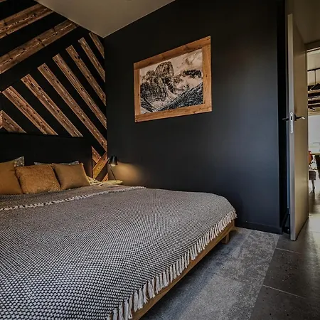 Riders Olimpijska Daire *