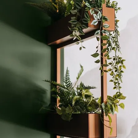 Riders Olimpijska Daire *