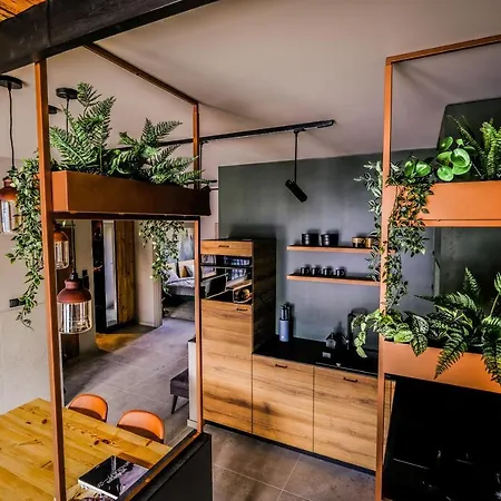 Riders Olimpijska Apartament *