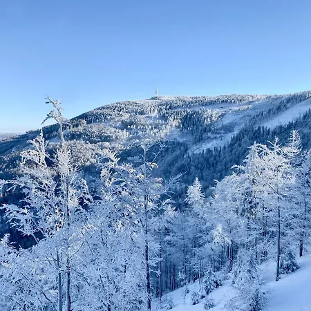 Riders Olimpijska *